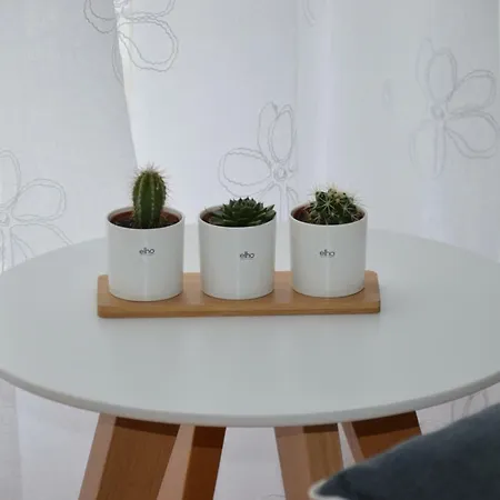 Papedoni Lägenhet Split